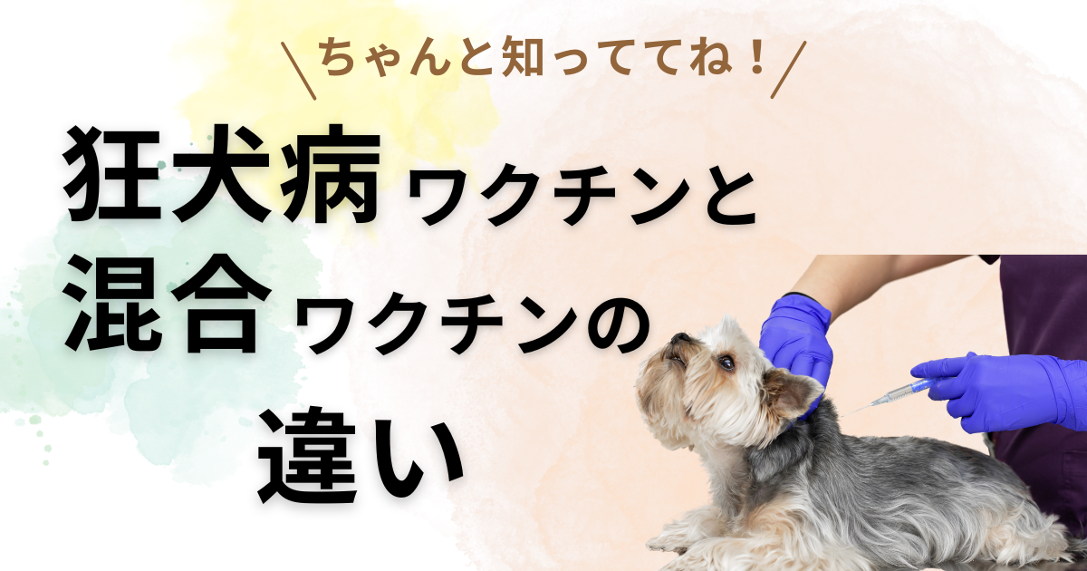 狂犬病ワクチンと混合ワクチンの違いアイキャッチ