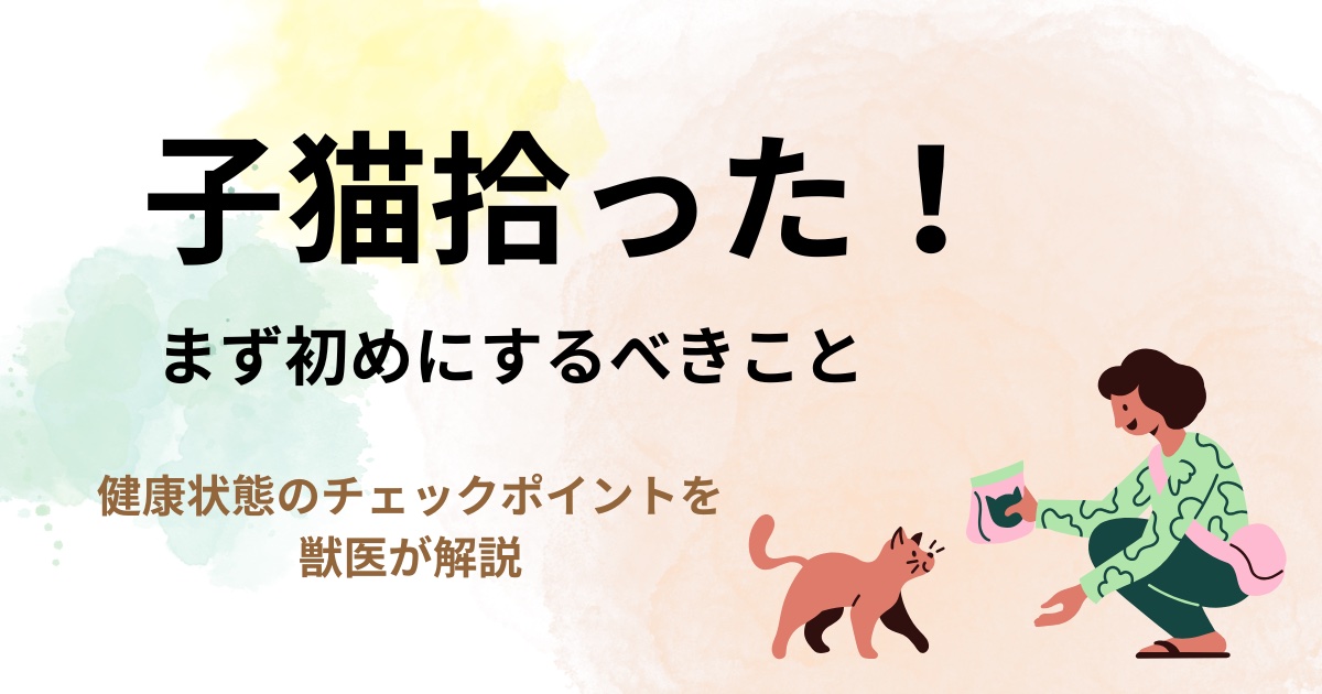 子猫拾ったのアイキャッチ