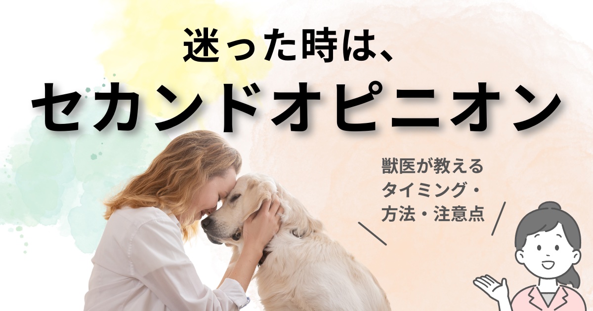 セカンドオピニオンのアイキャッチ