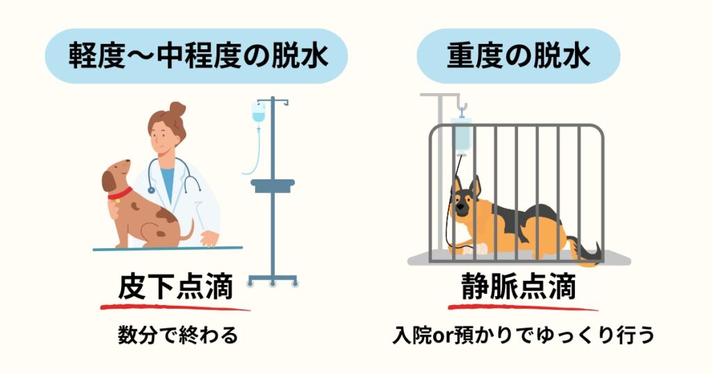 動物病院での脱水の治療、皮下点滴、静脈点滴
